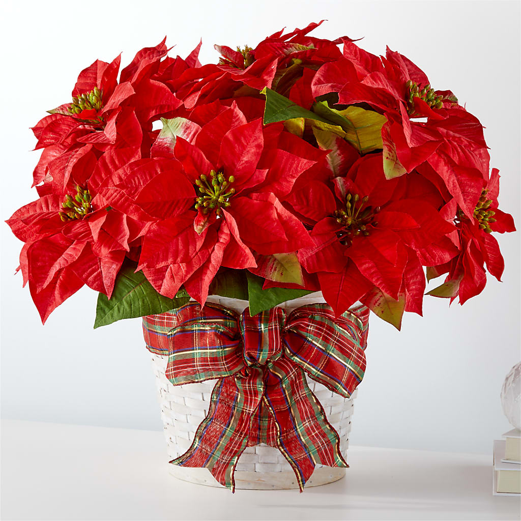 Happiest Holidays Poinsettia – GOD'S GARDEN FLOWER SHOP, Lancaster CA