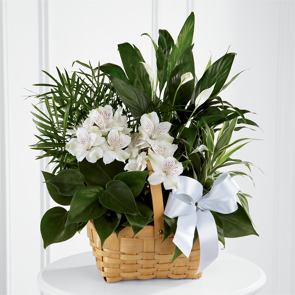Peace & Serenity Dishgarden – GOD'S GARDEN FLOWER SHOP, Lancaster CA
