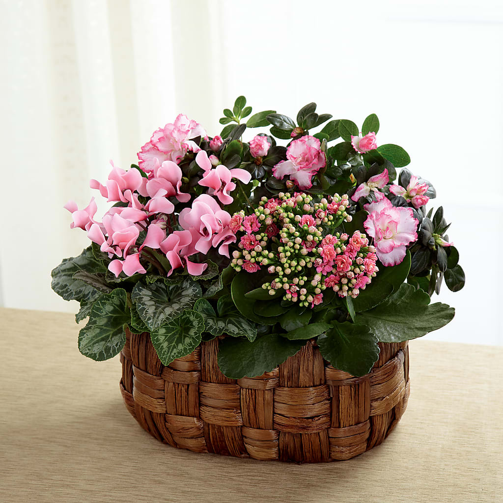 Pink Assortment – GOD'S GARDEN FLOWER SHOP, Lancaster CA