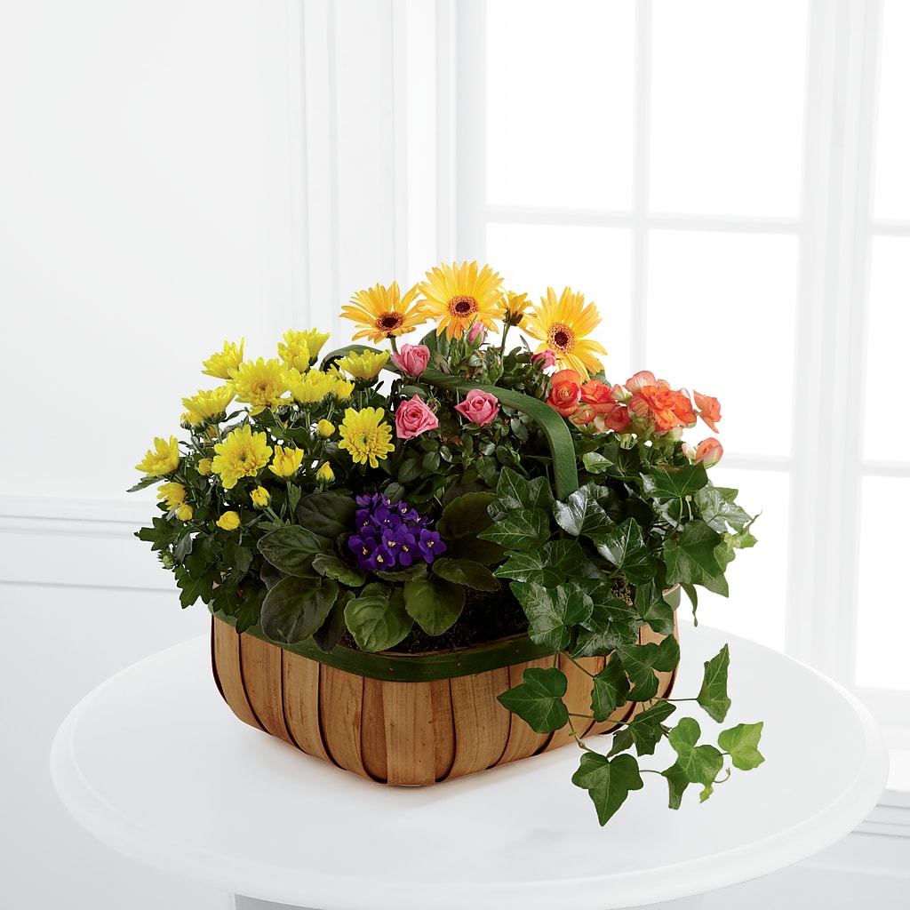 Gentle Blossoms Basket – GOD'S GARDEN FLOWER SHOP, Lancaster CA