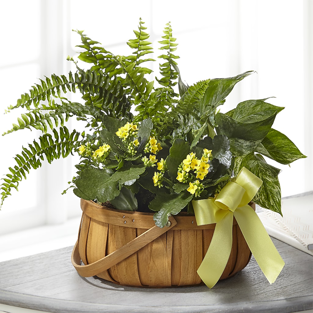 Always Dear Dishgarden – GOD'S GARDEN FLOWER SHOP, Lancaster CA