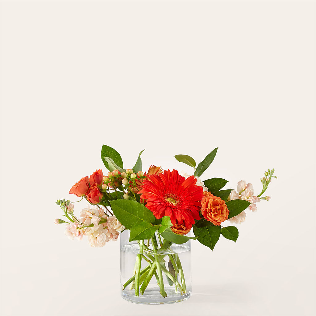 Paloma Please Bouquet – GOD'S GARDEN FLOWER SHOP, Lancaster CA