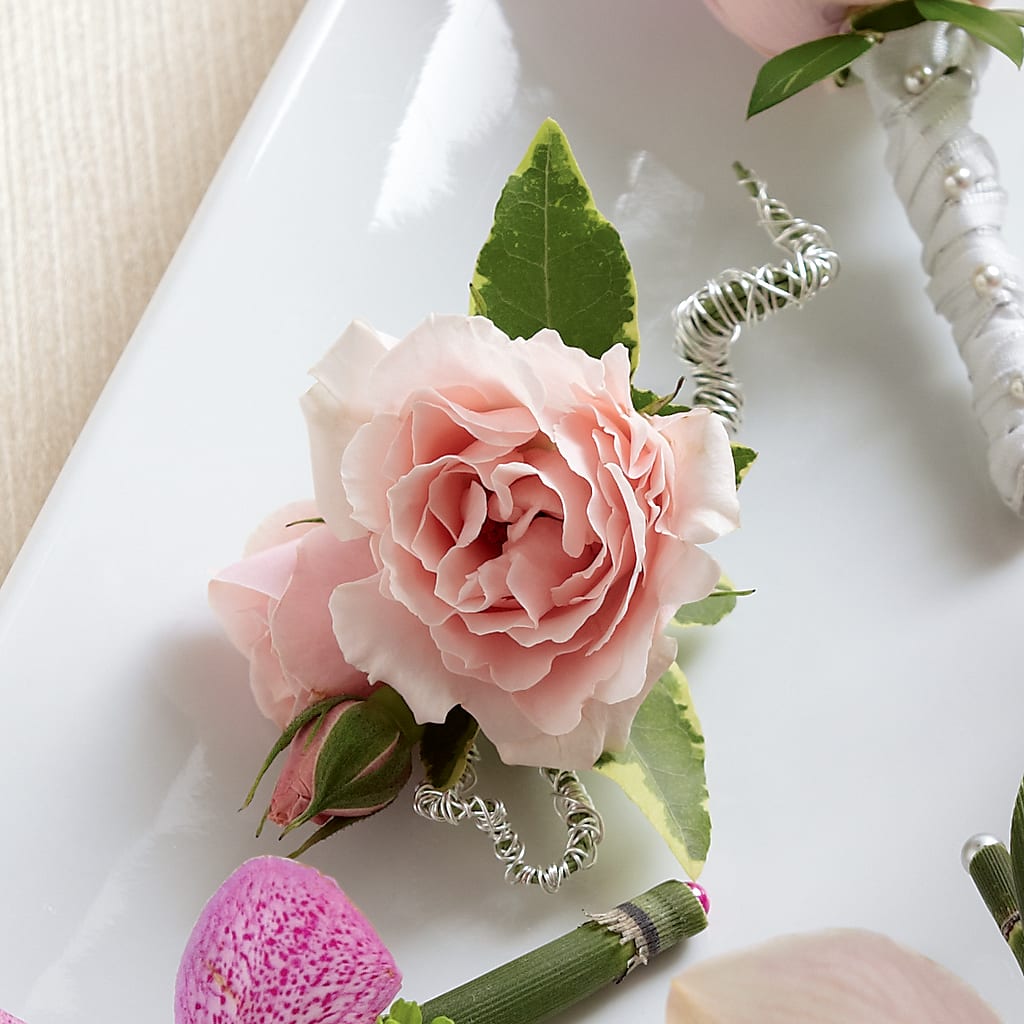 Pink Spray Rose Boutonniere – GOD'S GARDEN FLOWER SHOP, Lancaster CA