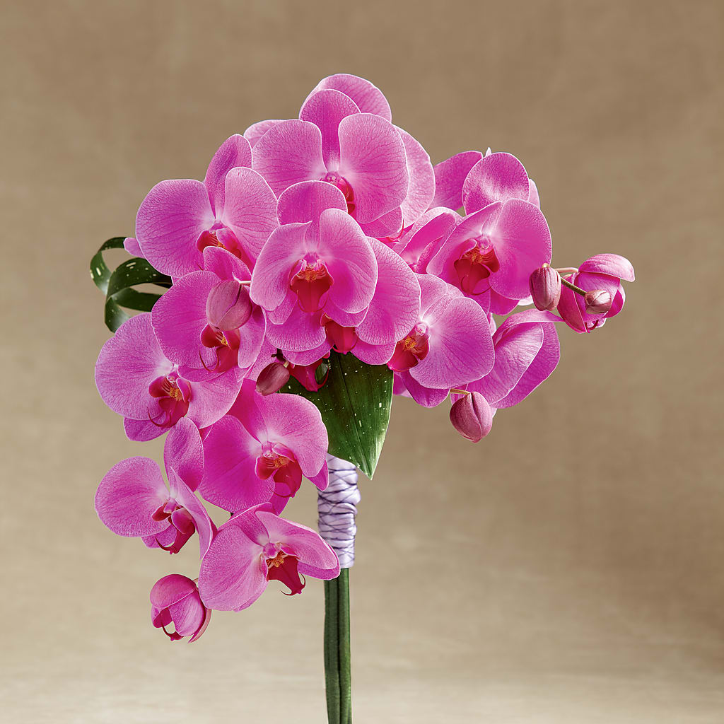 Glorious Bouquet – GOD'S GARDEN FLOWER SHOP, Lancaster CA