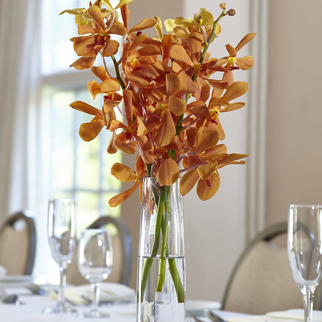 Orange Mokara Bud Vase – GOD'S GARDEN FLOWER SHOP, Lancaster CA