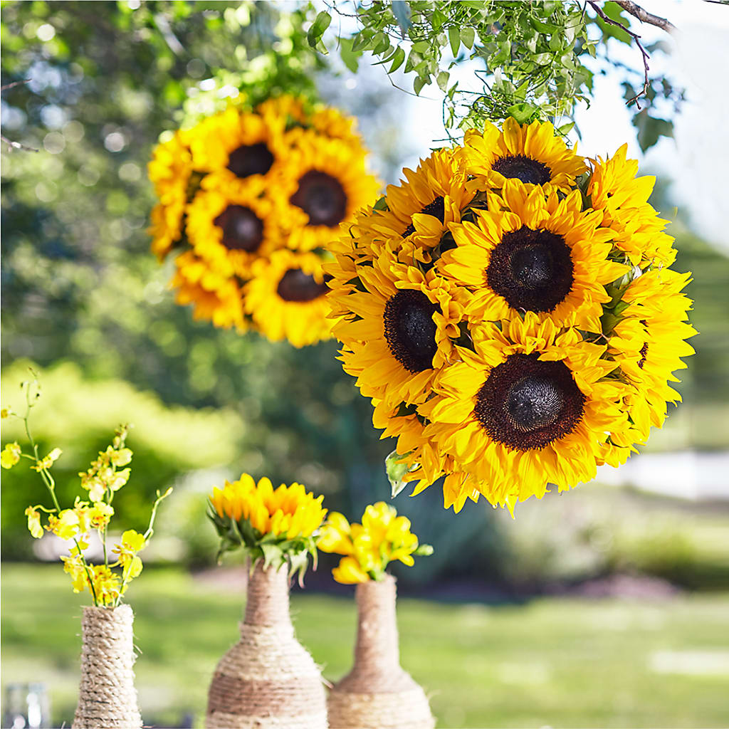 Sublime Garden Hanging Arrangement – GOD'S GARDEN FLOWER SHOP, Lancaster CA