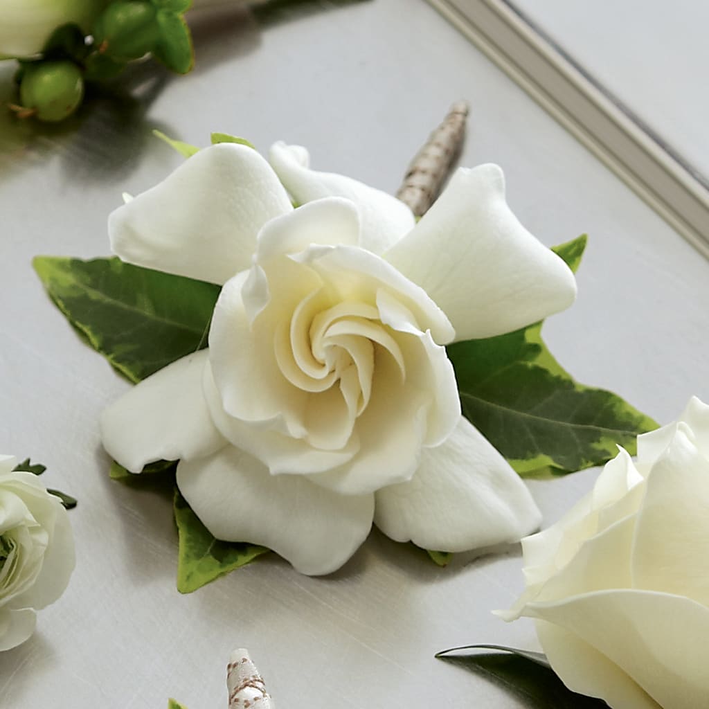 Gardenia Boutonniere – GOD'S GARDEN FLOWER SHOP, Lancaster CA