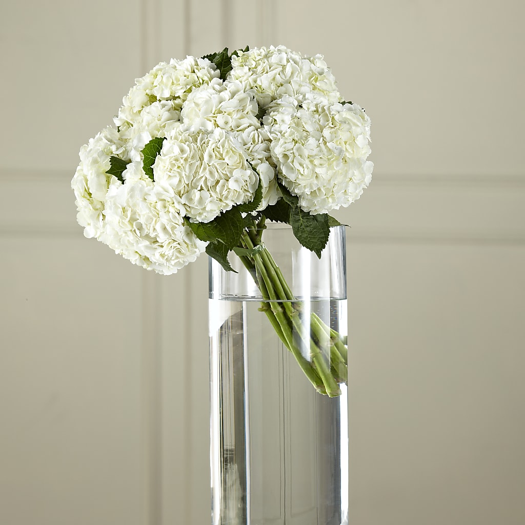 White Hydrangea Hand-Tied Bouquet – GOD'S GARDEN FLOWER SHOP, Lancaster CA