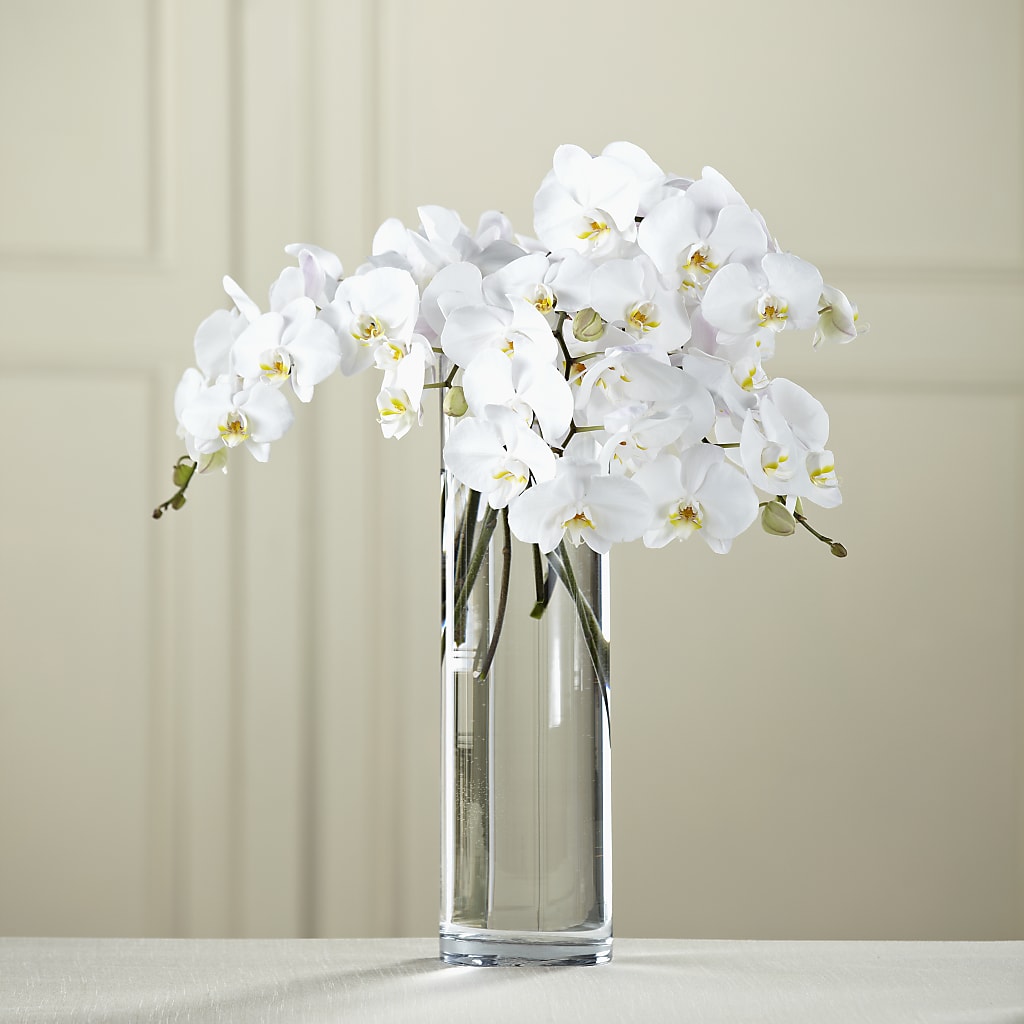 White Phalaenopsis Bouquet – GOD'S GARDEN FLOWER SHOP, Lancaster CA