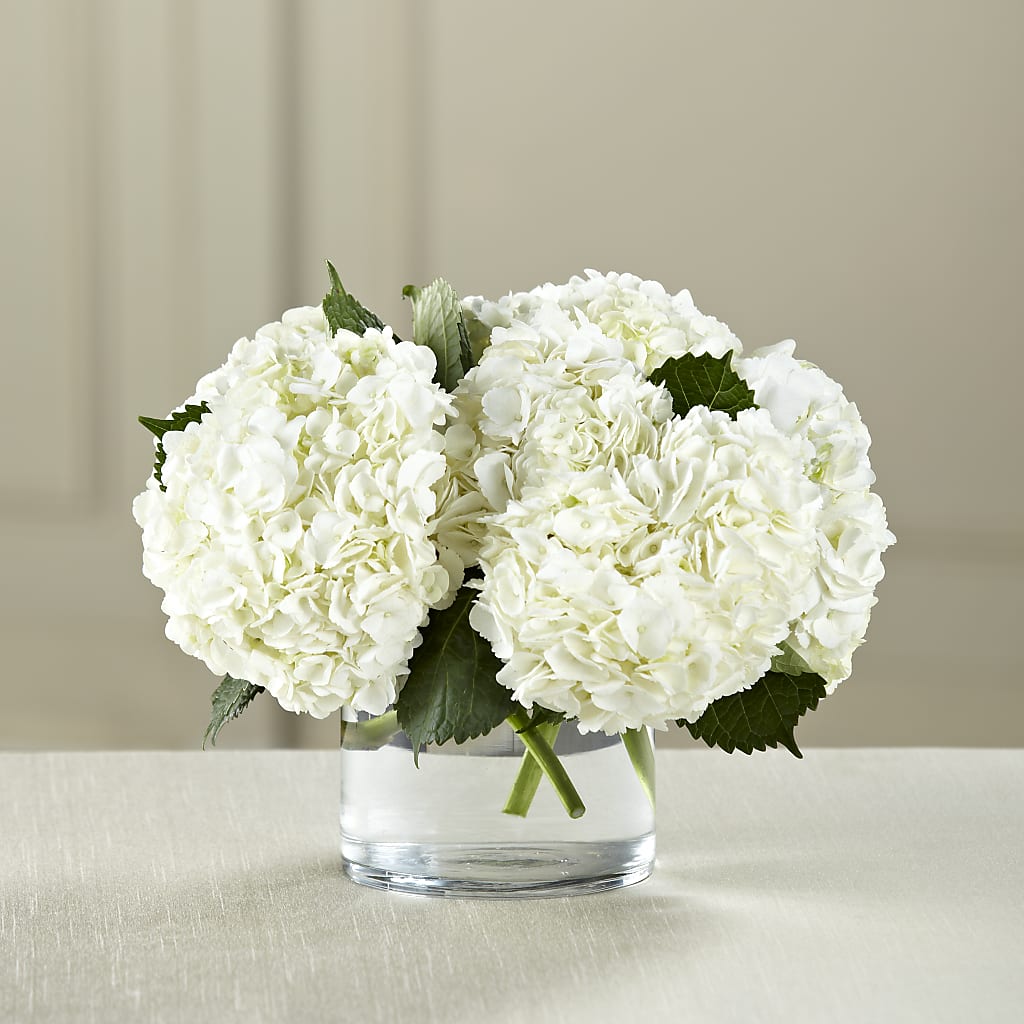 White Hydrangea Bouquet – GOD'S GARDEN FLOWER SHOP, Lancaster CA