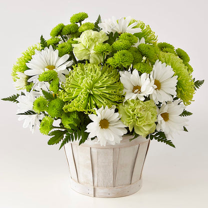 Lucky Charm Basket (Standard) – GOD'S GARDEN FLOWER SHOP, Lancaster CA