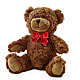 Adorable Plush Bear – GOD'S GARDEN FLOWER SHOP, Lancaster CA