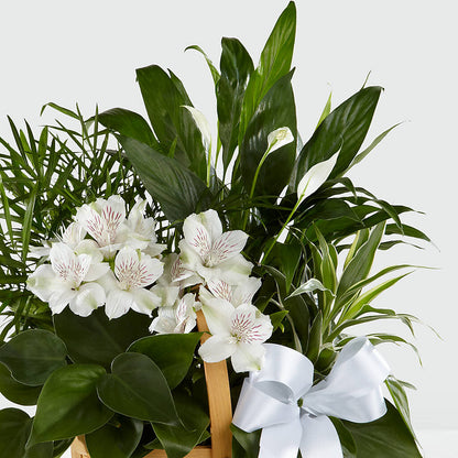 Peace & Serenity Dishgarden – GOD'S GARDEN FLOWER SHOP, Lancaster CA