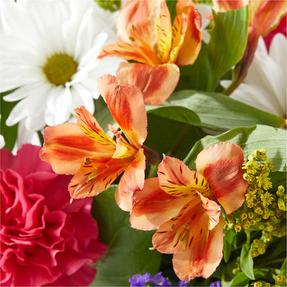 Oopsie Daisy Box Bouquet – GOD'S GARDEN FLOWER SHOP, Lancaster CA