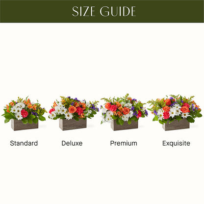 Oopsie Daisy Box Bouquet – GOD'S GARDEN FLOWER SHOP, Lancaster CA