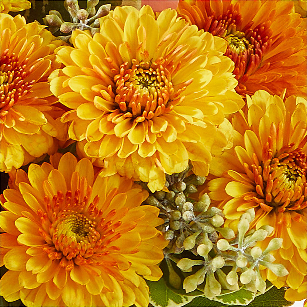 Peachy Pumpkin – GOD'S GARDEN FLOWER SHOP, Lancaster CA