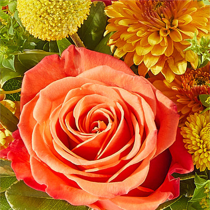 Gourdgeous Pumpkin – GOD'S GARDEN FLOWER SHOP, Lancaster CA