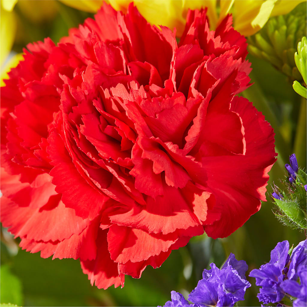 Brighter Days Bouquet – GOD'S GARDEN FLOWER SHOP, Lancaster CA