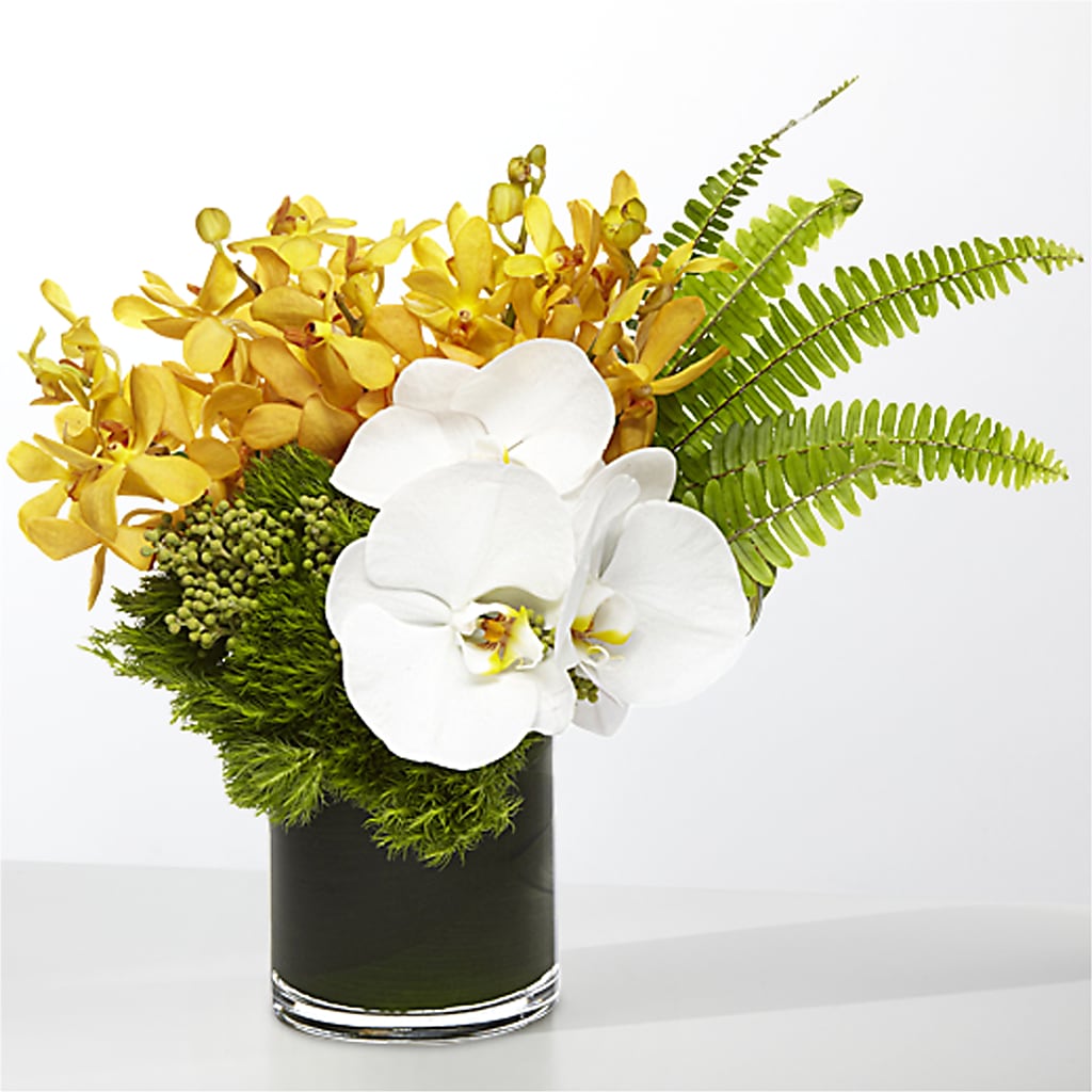 The Tropics – GOD'S GARDEN FLOWER SHOP, Lancaster CA