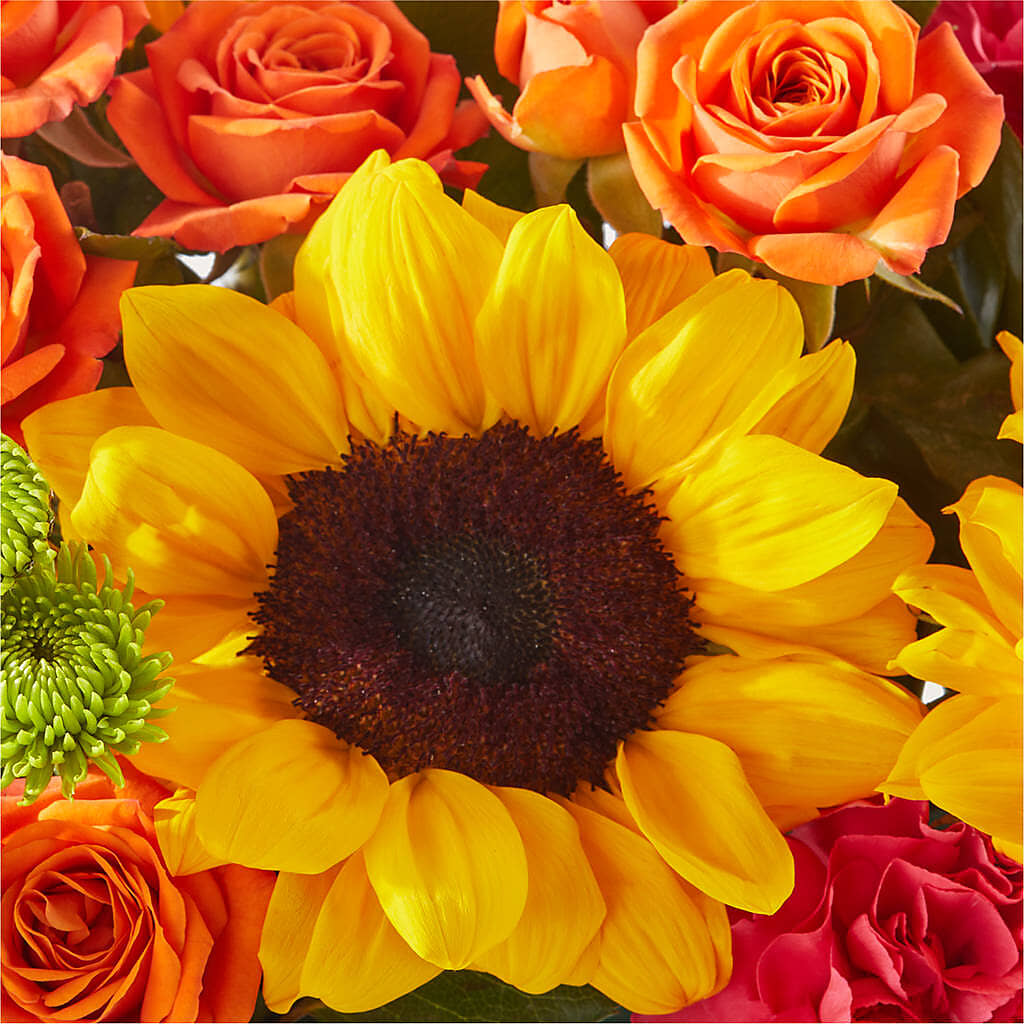 Sun-drenched Blooms Box Bouquet – GOD'S GARDEN FLOWER SHOP, Lancaster CA