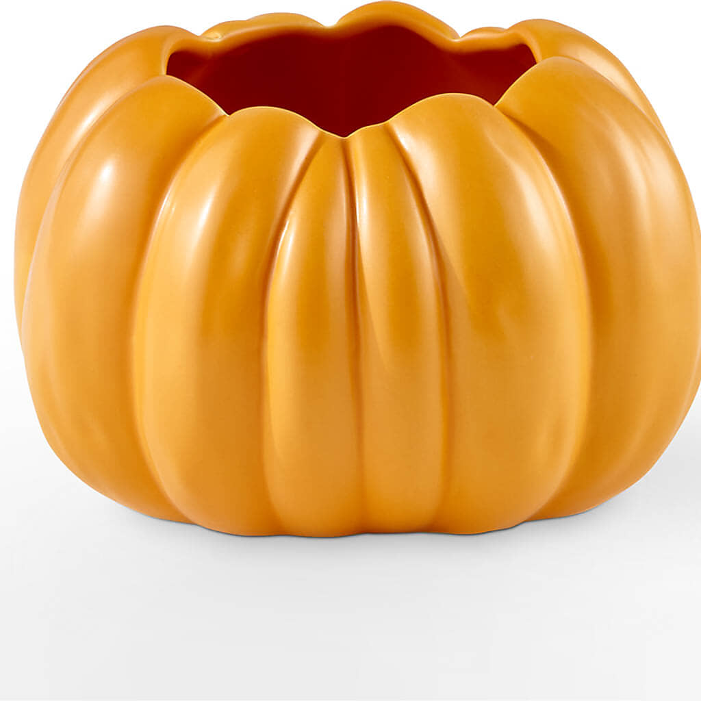 Golden Gourd Pumpkin Bouquet – GOD'S GARDEN FLOWER SHOP, Lancaster CA