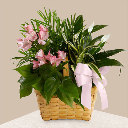Living Spirit Dishgarden – GOD'S GARDEN FLOWER SHOP, Lancaster CA