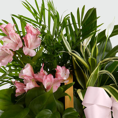 Living Spirit Dishgarden – GOD'S GARDEN FLOWER SHOP, Lancaster CA
