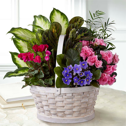 Peaceful Garden Planter – GOD'S GARDEN FLOWER SHOP, Lancaster CA