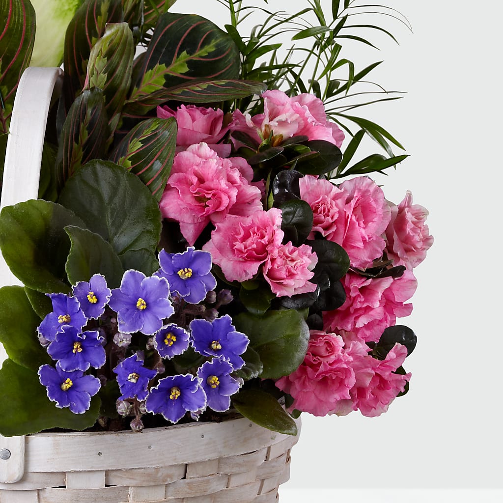 Peaceful Garden Planter – GOD'S GARDEN FLOWER SHOP, Lancaster CA