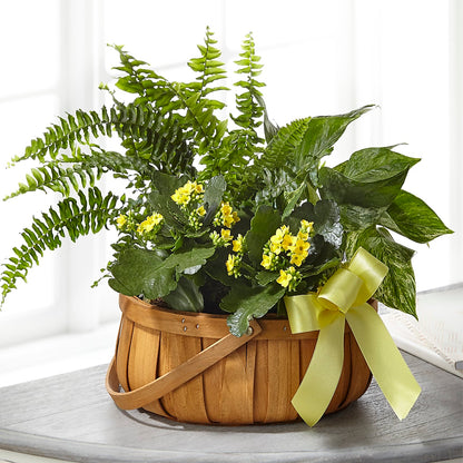 Always Dear Dishgarden – GOD'S GARDEN FLOWER SHOP, Lancaster CA