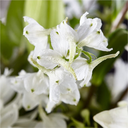 Classic Ivory – A Florist Original – GOD'S GARDEN FLOWER SHOP, Lancaster CA
