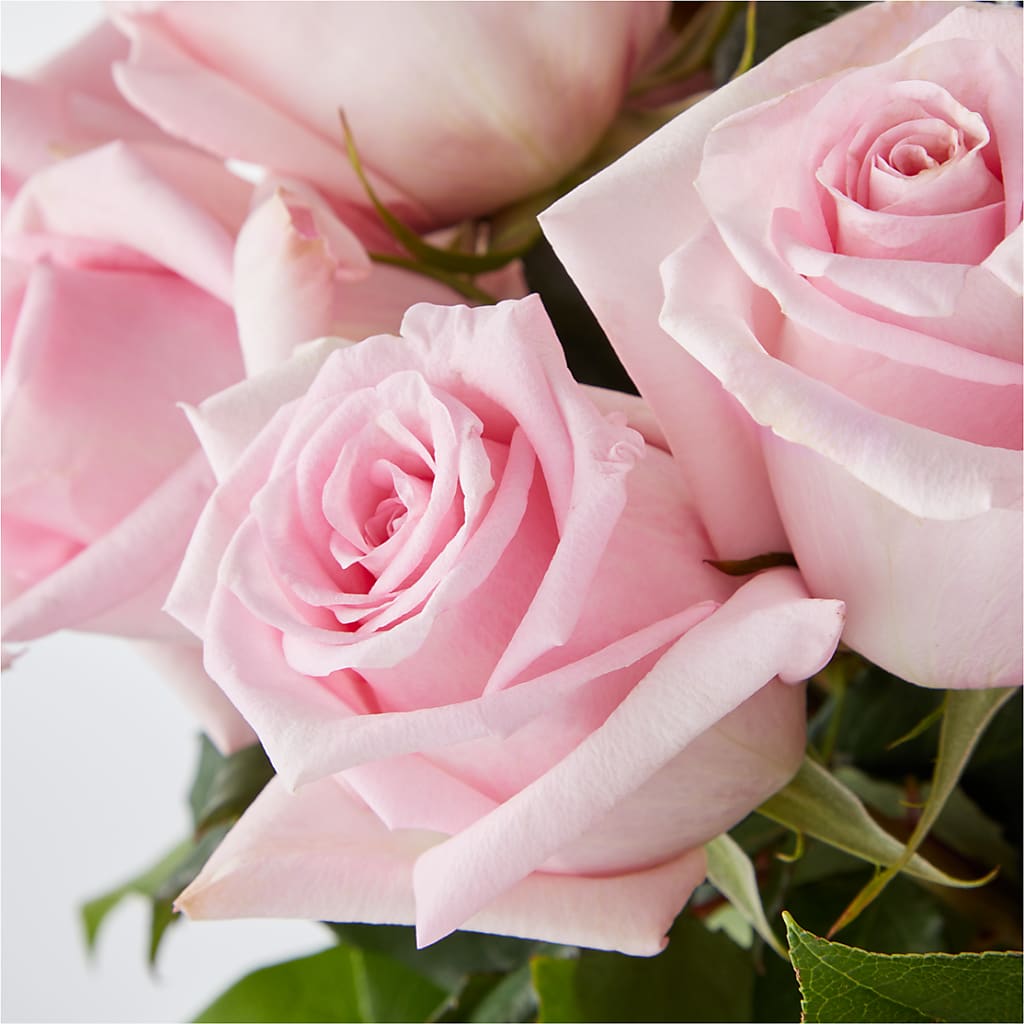 Picture Perfect Pink Rose Bouquet – GOD'S GARDEN FLOWER SHOP, Lancaster CA