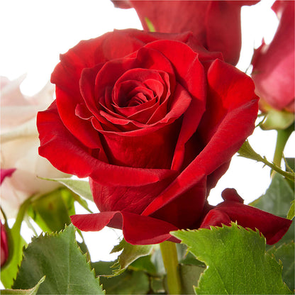 Love Notes Rose Bouquet – GOD'S GARDEN FLOWER SHOP, Lancaster CA