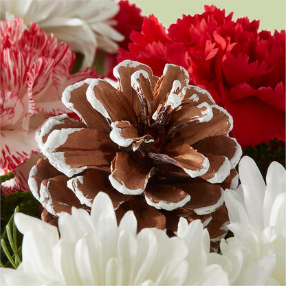 Candy Cane Lane Bouquet – GOD'S GARDEN FLOWER SHOP, Lancaster CA