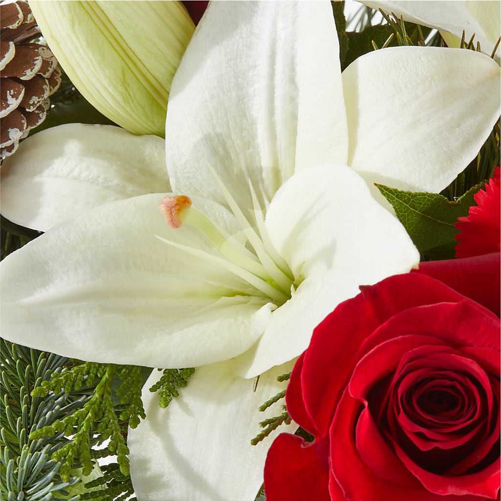 Oh So Jolly Bouquet – GOD'S GARDEN FLOWER SHOP, Lancaster CA