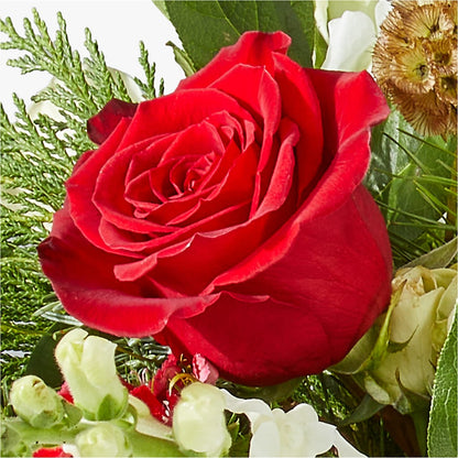 Deck the Halls Bouquet – GOD'S GARDEN FLOWER SHOP, Lancaster CA