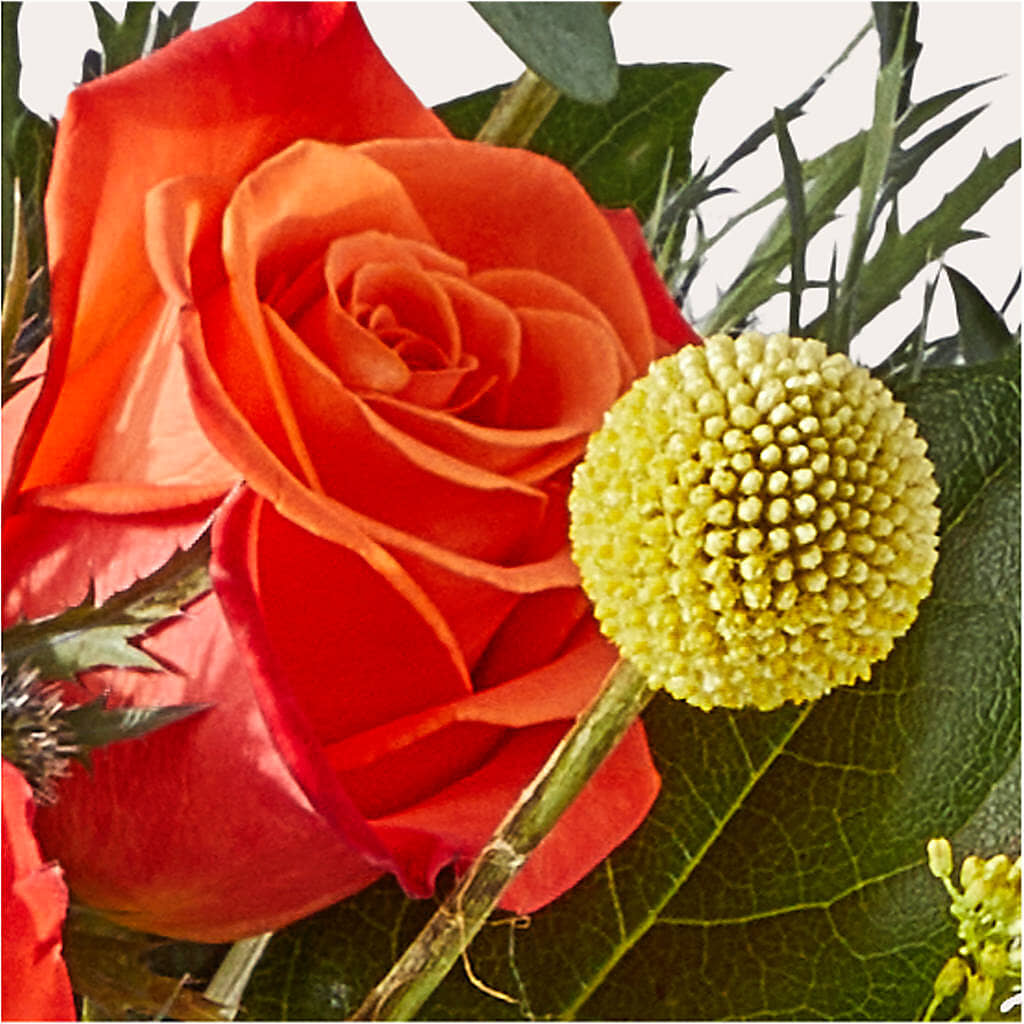 Disco Bouquet – GOD'S GARDEN FLOWER SHOP, Lancaster CA