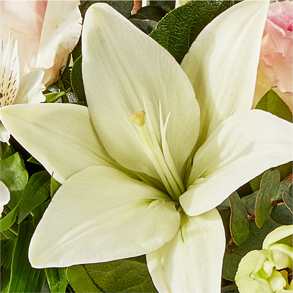 Ballet Slippers Bouquet – GOD'S GARDEN FLOWER SHOP, Lancaster CA