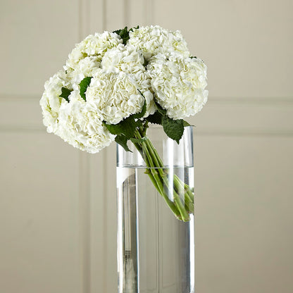 White Hydrangea Hand-Tied Bouquet – GOD'S GARDEN FLOWER SHOP, Lancaster CA
