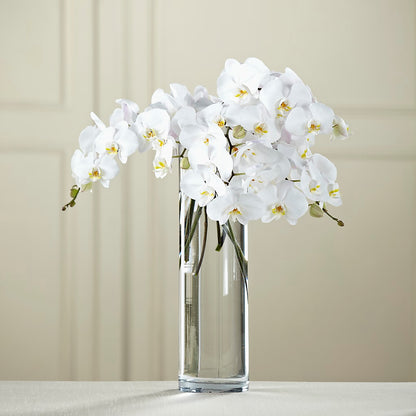 White Phalaenopsis Bouquet – GOD'S GARDEN FLOWER SHOP, Lancaster CA