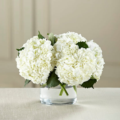 White Hydrangea Bouquet – GOD'S GARDEN FLOWER SHOP, Lancaster CA